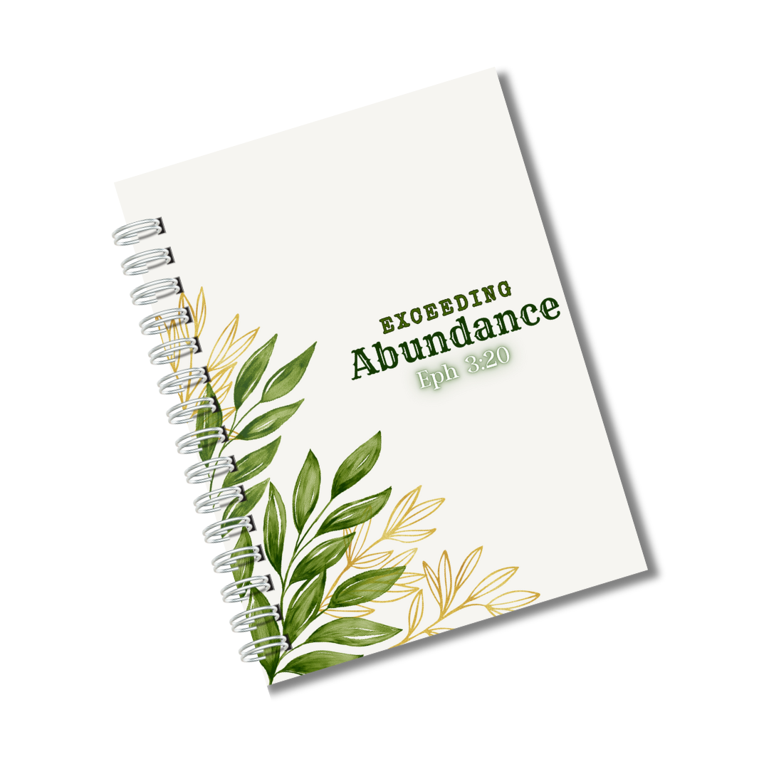 Exceeding Abundance Journal