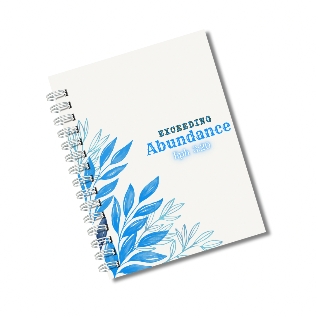 Exceeding Abundance Journal in Blue
