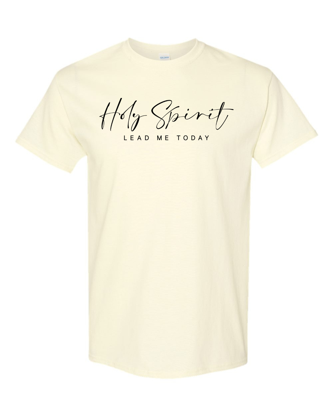 Holy Spirit Lead Me today